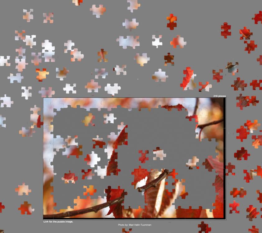 puzzlepage.jpg