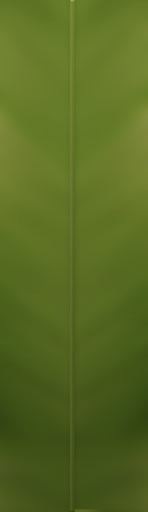 grass_diff.png