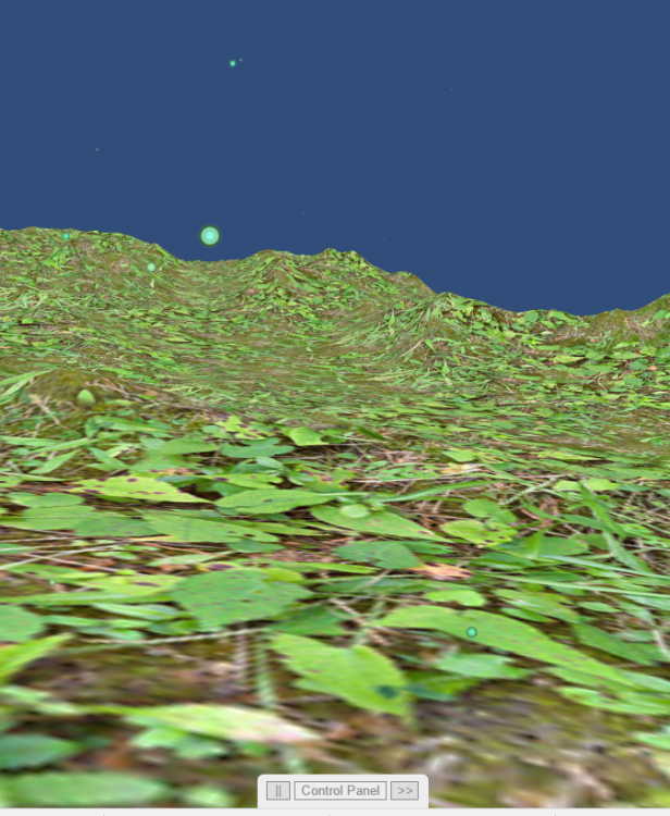 Terrain Export.PNG