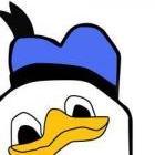 Dolan