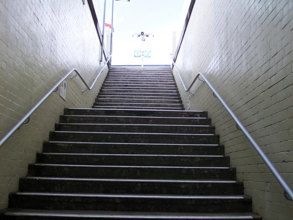 Macdonaldtown_Railway_Station_stairs_to_platform.jpg