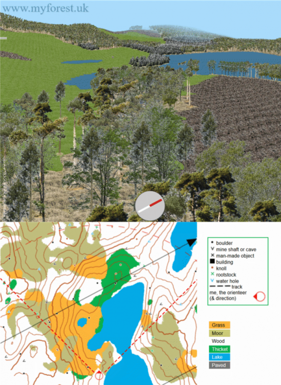 20.3.13_Heli2SceneMap_700x959.png