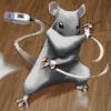 digitalmouse